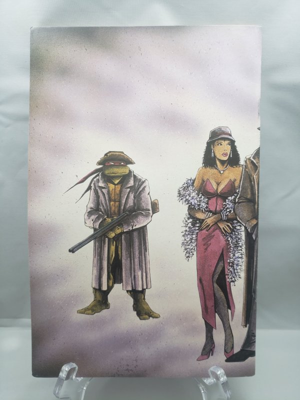 Teenage mutant ninja turtles 14