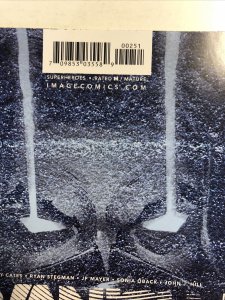 Vanish (2022) #2 (NM) 1:25 Variant Cover Virgin Stegman| Image Comics