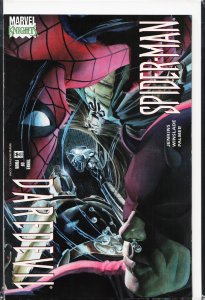 Daredevil/Spider-Man #3 (2001) Spider-Man