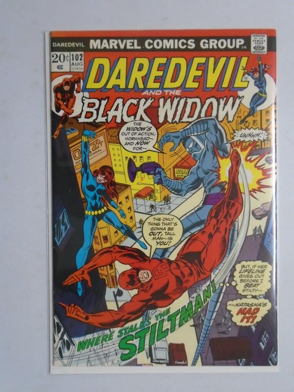Daredevil And The Black Widow # 102 7.0 (1973)