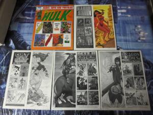 Steve Fastner/Rich Larson Lot of 5 11 x 14 Comic Art Portfolios beautiful art