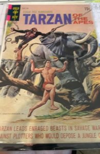 Edgar Rice Burroughs' Tarzan #203 (1971)