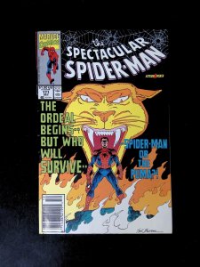 Spectacular Spider-Man #171  MARVEL Comics 1990 FN/VF NEWSSTAND