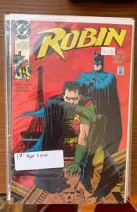 Robin #1 (1991)