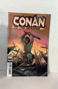 Conan the Barbarian #1 Variant Cover (2019)