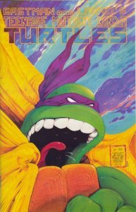 Teenage Mutant Ninja Turtles #22 Jun 1989 Mirage Studios TMNT Comic Book (FN+)