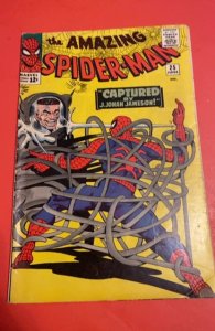 The Amazing Spider-Man #25  (1965) spiderslayer