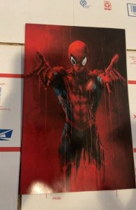 The Amazing Spider-Man #21 Tao Virgin Cover (2023)