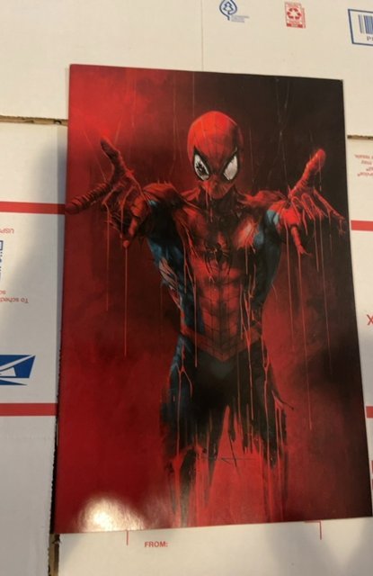 The Amazing Spider-Man #21 Tao Virgin Cover (2023)