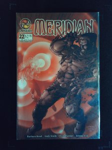Meridian #22 (2002)