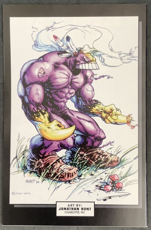 The Maxx #11 (1994, Image) NM+
