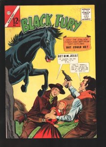 Black Fury  #52 1965-Charlton-Horse-stories-FN-