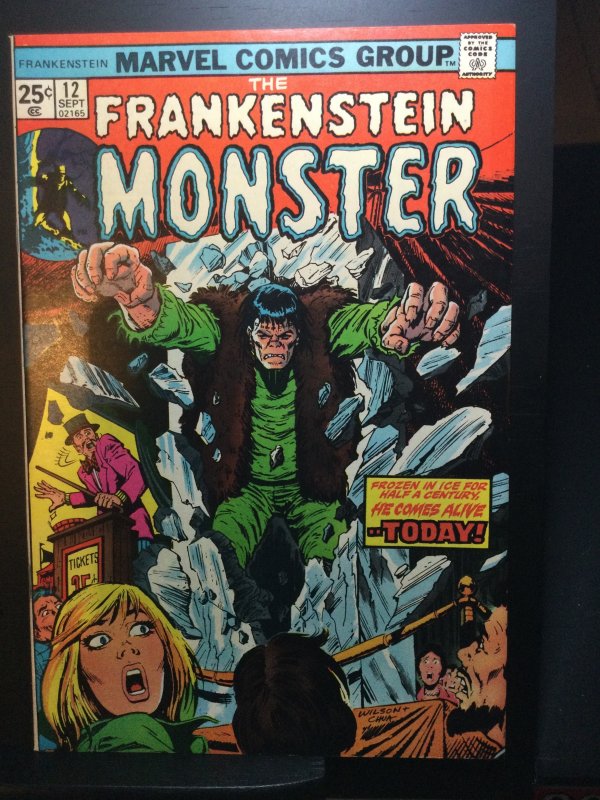 Das Monster von Frankenstein #12 (1974)