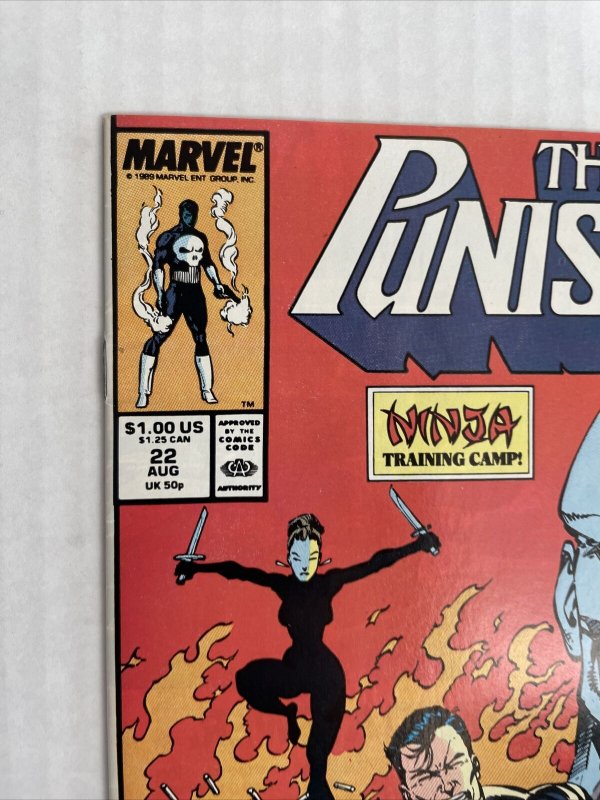 Punisher #22