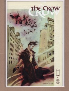 Crow #4 NM
