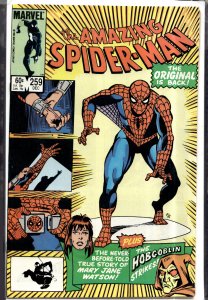 The Amazing Spider-Man #259 (1984) Spider-Man
