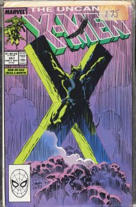 The Uncanny X-Men #251 (1989) X-Men