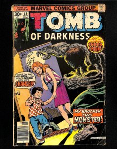 Tomb of Darkness #22 (1976)