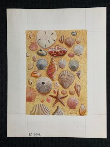 AS YOU RETIRE Beautiful Shells on the Beach 8.5x11 Greeting Card Art #0165