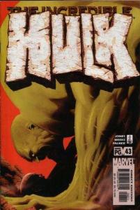 Incredible Hulk (2000 series)  #43, NM- (Stock photo)