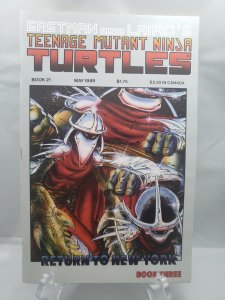 Teenage mutant ninja turtles 21