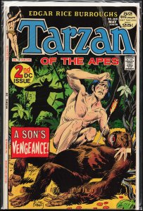 Edgar Rice Burroughs' Tarzan #208 (1972)