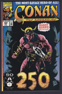 Conan the Barbarian #250 1991 Marvel 9.2 Near Mint- comic