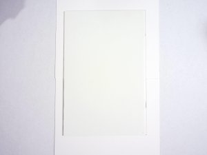 Extreme #0 • 1993 • Signed by Dan Fraga (Black Flag -Image Comics 1993) No COA