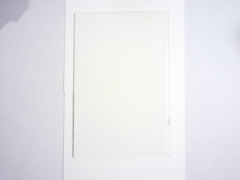 Extreme #0 • 1993 • Signed by Dan Fraga (Black Flag -Image Comics 1993) No COA