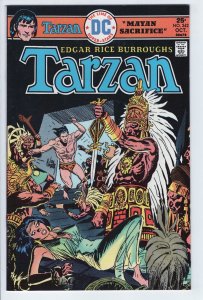 TARZAN #242 - 5.5 - WP - Kubert
