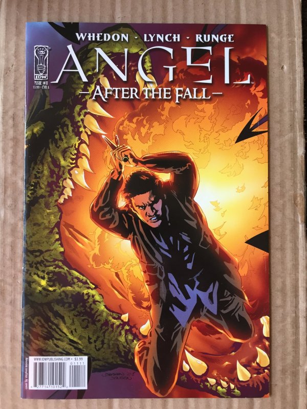 Angel #11 (2008)