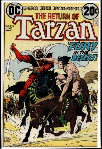 Edgar Rice Burroughs' Tarzan #220 (1973)