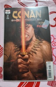 Conan the Barbarian #17 (2021)