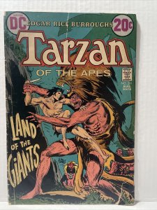 Tarzan #211 1972 DC