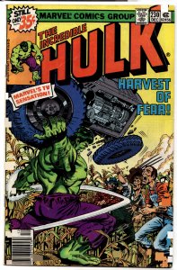 The Incredible Hulk #230 (1978) Hulk