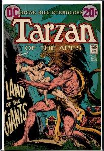 Edgar Rice Burroughs' Tarzan #211 (1972)