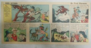 Red Ryder Sunday Page by Fred Harman from 2/6/1955 Third Page Size ! Western