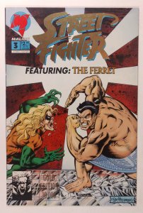 Street Fighter #3 (7.0, 1993)