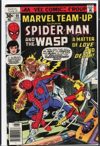 Marvel Team-Up #60 (1977) Wasp