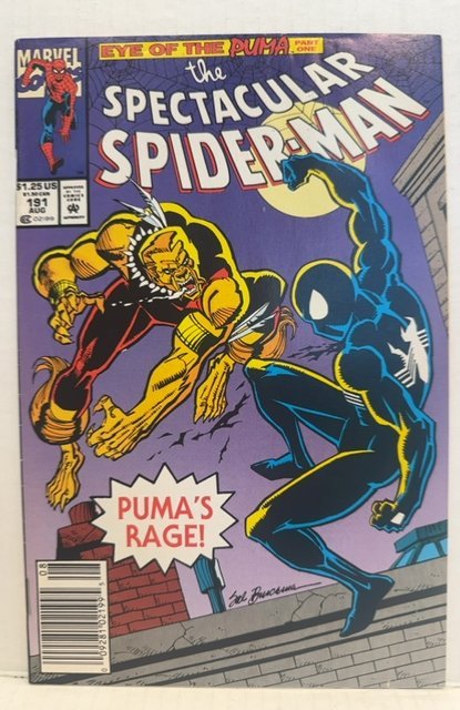 The Spectacular Spider-Man #191 (1992)