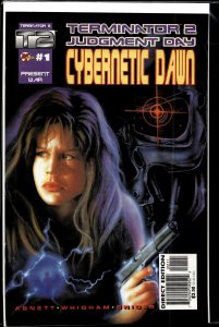 T2: Cybernetic Dawn #1 (1995) The Terminator