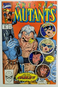 The New Mutants #87 (1990)