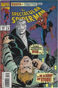 Spectacular Spider-Man #205