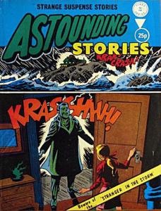 Stranger in the Storm