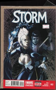 Storm #2 (2014) Storm