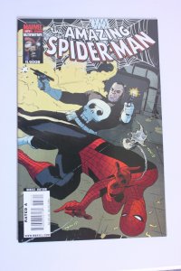 The Amazing Spider-Man #577 (2009) NM