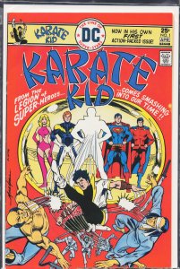 Karate Kid #1 (1976) Karate Kid