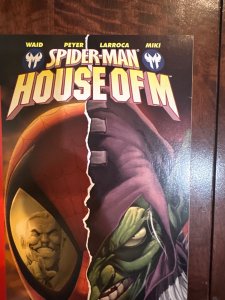 Spider-Man: House of M #4 (2005)