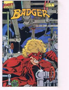 Lot Of 4 The Badger First Comics Comic Books # 9 18 20 21 1st Print Deluxe HJ2