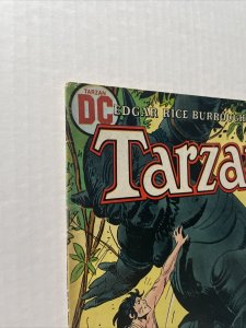 Tarzan #216 1973 DC